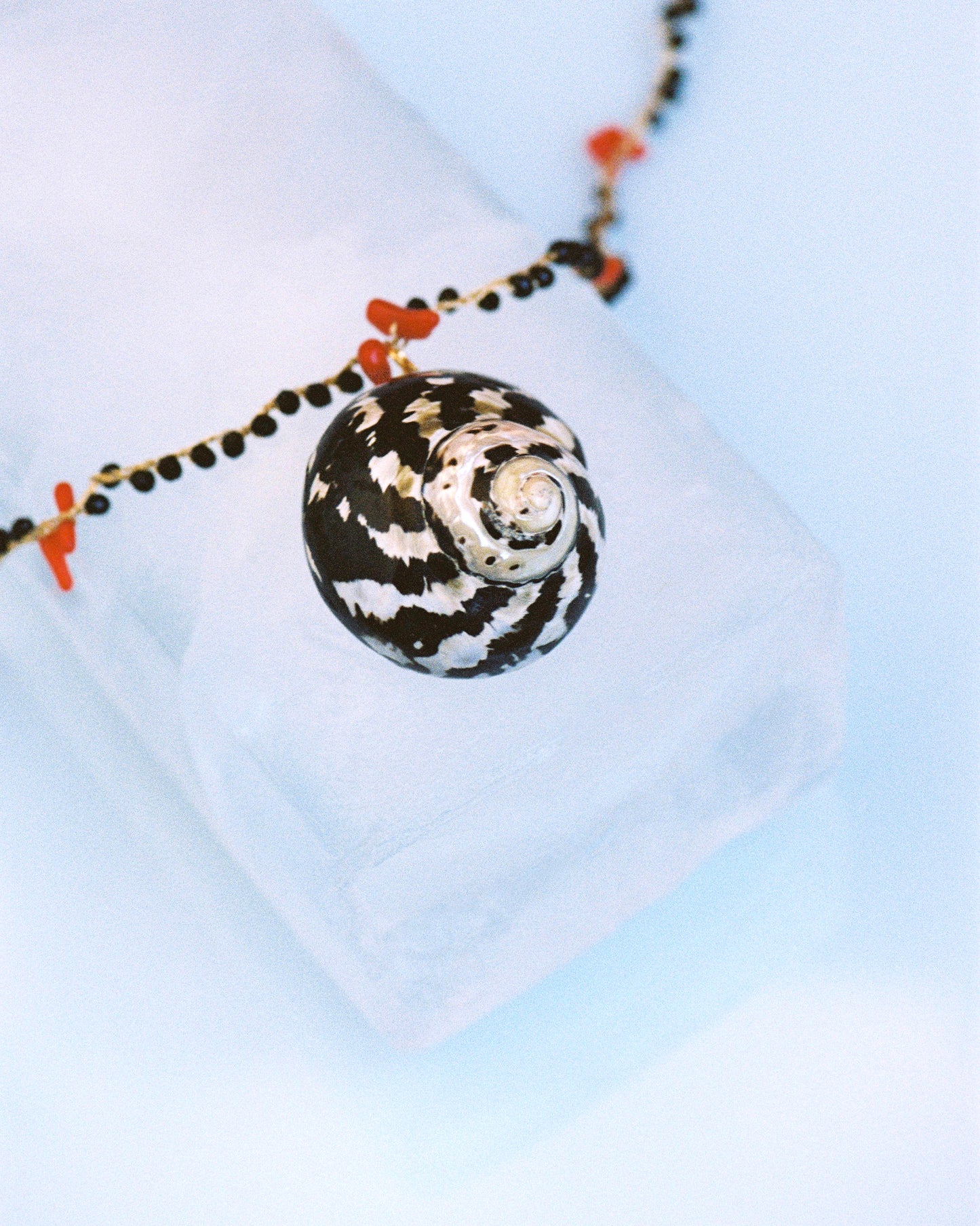 collar sunset sobre fondo de hielo