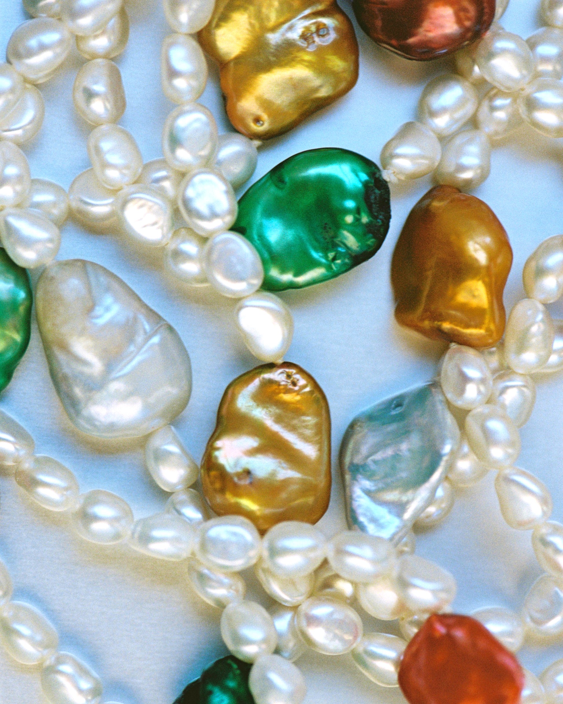 Collar classic sobre fondo blanco